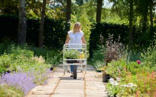 Have you visited any of these garden centres in South East London?