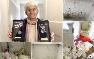Hazel Speed was once a highly-regarded member of the Queen's Household. But now she is living in a waterlogged rental home, unable to move around her own home without shoe protectors